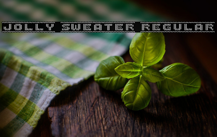 Jolly Sweater Regular Example 3