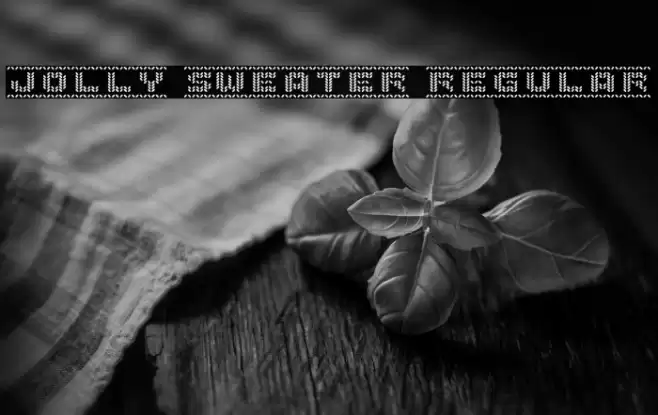Jolly Sweater Regular Font examples