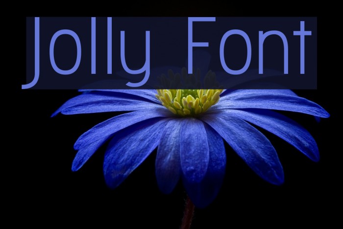 jolly-font-ffonts