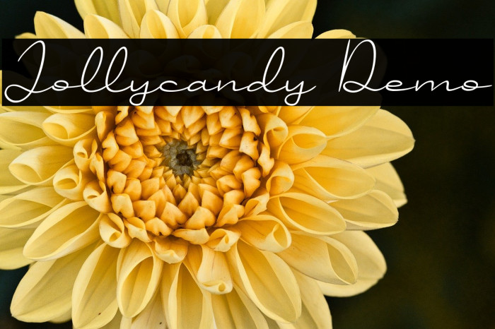 Jollycandy Demo Example 1