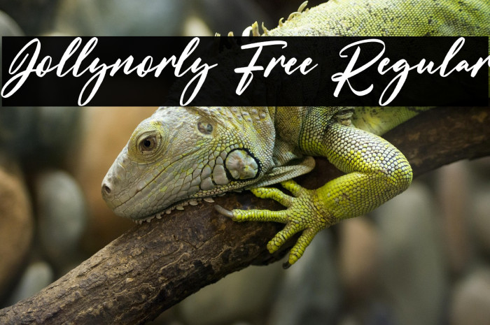 Jollynorly Free Regular Example 2