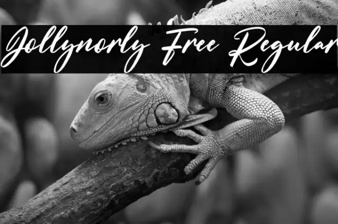 Jollynorly Free Regular Schriftart examples