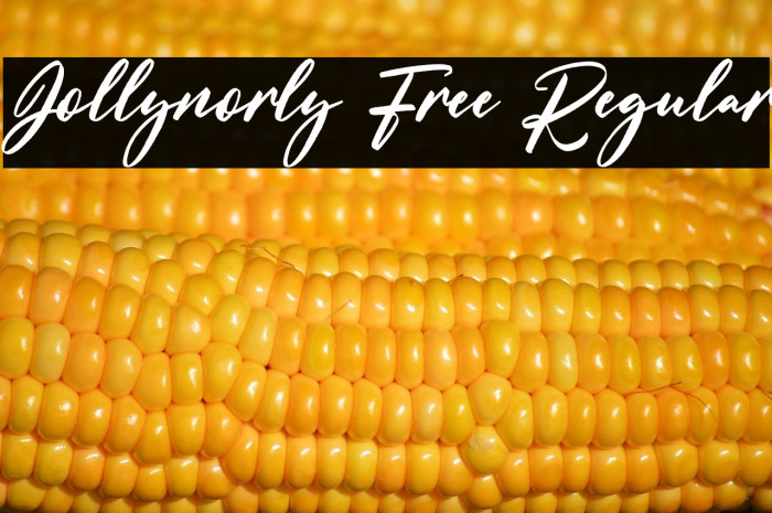 Jollynorly Free Regular Example 3