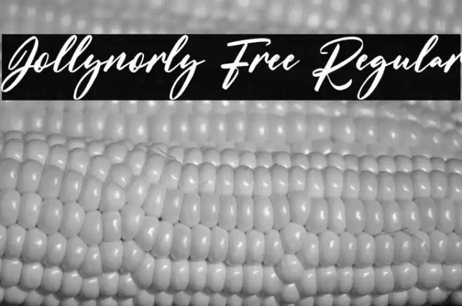 Jollynorly Free Regular Schriftart examples