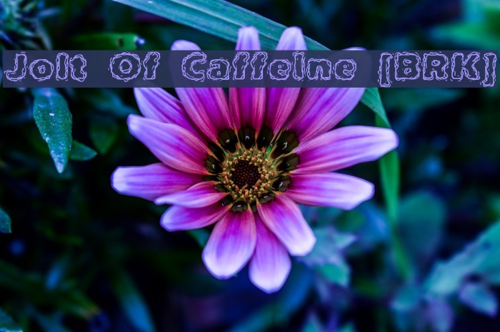 Jolt Of Caffeine [BRK] Example 1