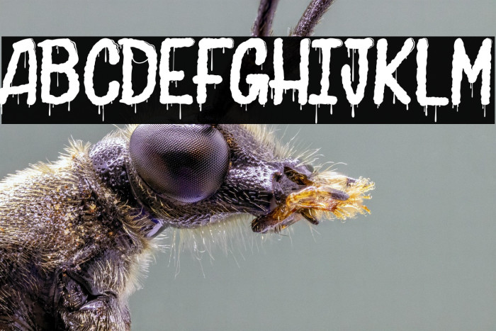 Joly Death_PersonalUseOnly Example 2