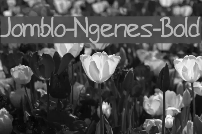 Jomblo-Ngenes-Bold Шрифта examples