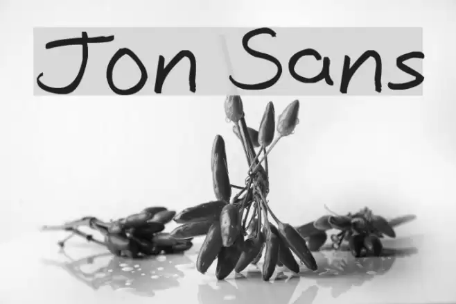 Jon Sans Font examples