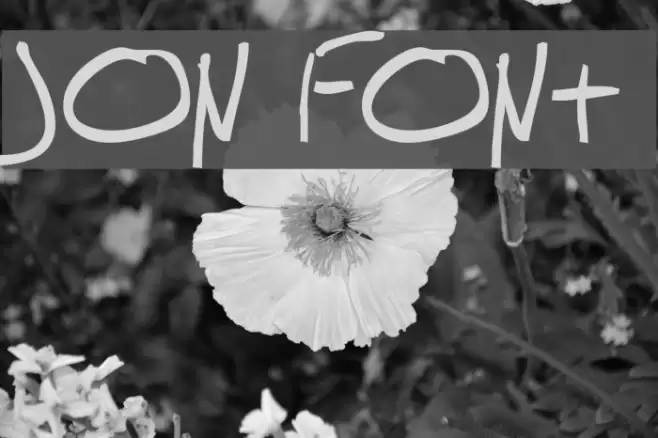 Jon Font examples