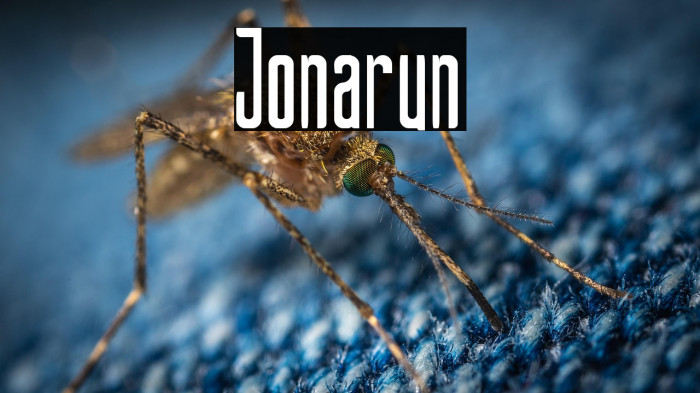 Jonarun Example 1