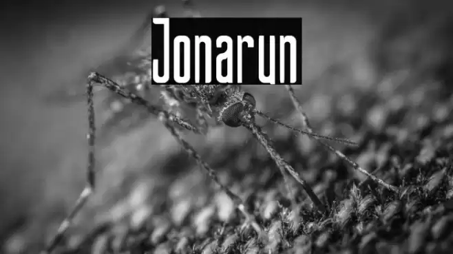 Jonarun Font examples