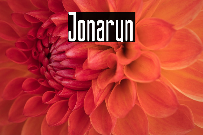 Jonarun Example 3