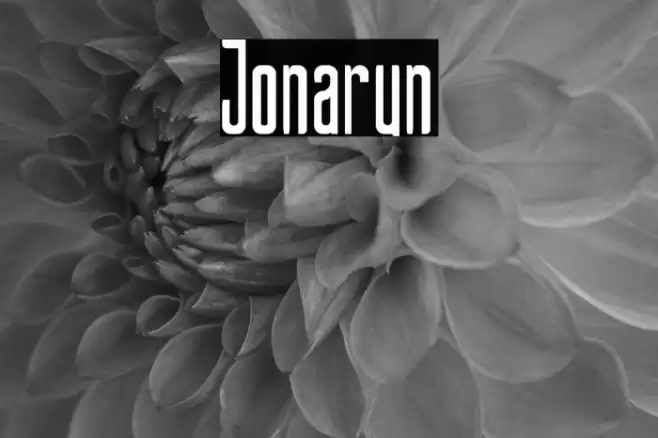 Jonarun Font examples