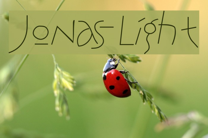 Jonas-Light Font examples