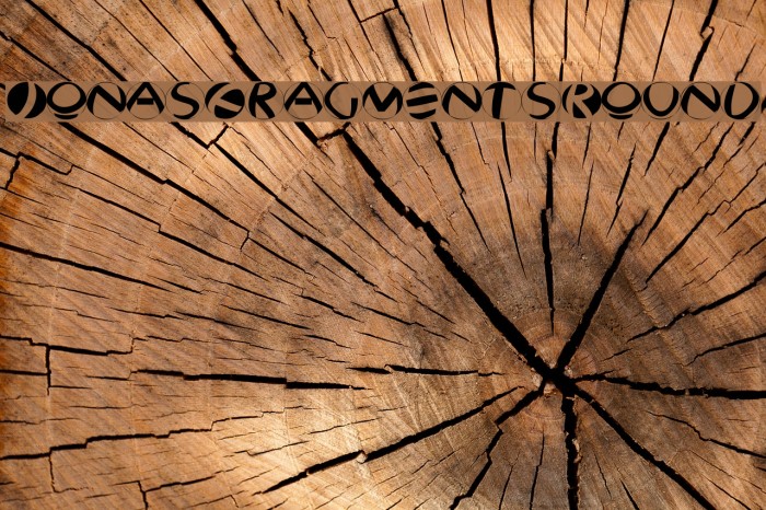 JonasFragmentsRound Example 3