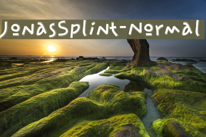 JonasSplint-Normal Schriftart examples