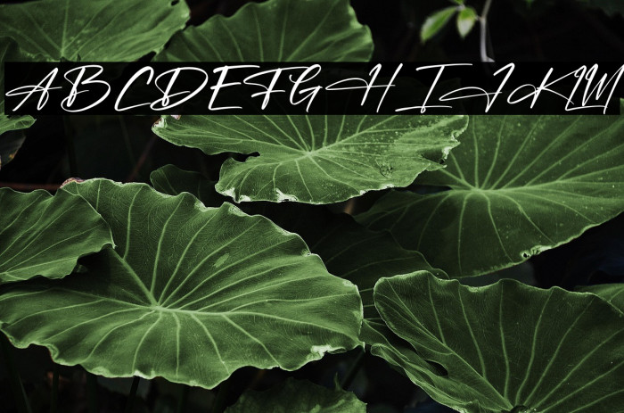 Jonathan Hetegral Example 2