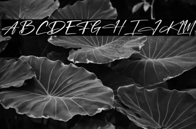 Jonathan Hetegral फ़ॉन्ट examples