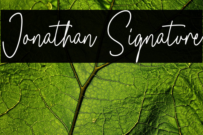 Jonathan Signature Example 1
