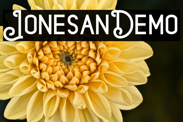 JonesanDemo Example 1