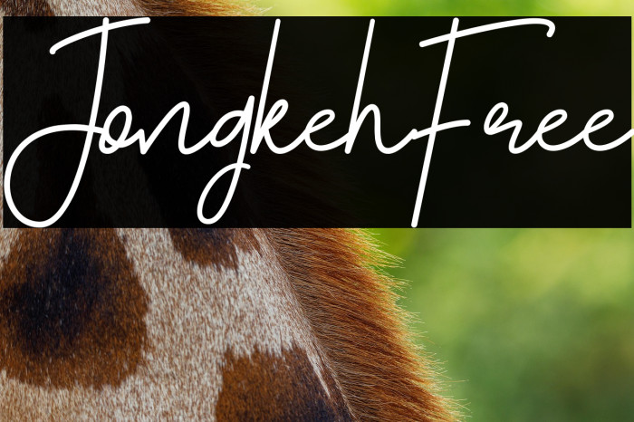 Jongkeh-Free Example 3