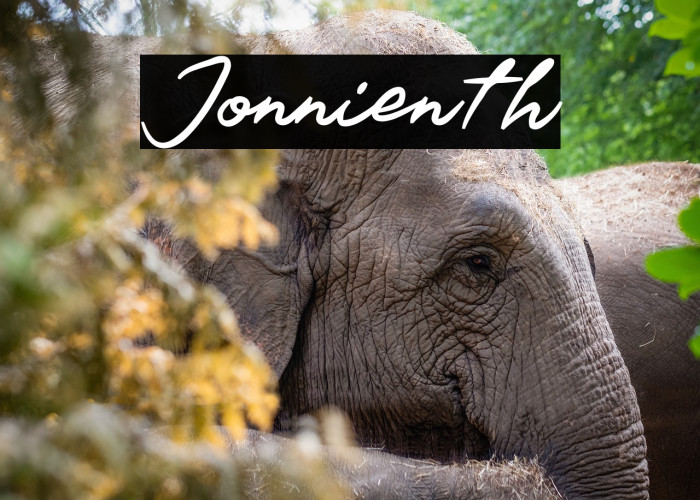 Jonnienth Шрифта examples