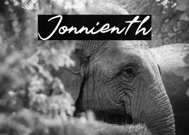 Jonnienth خط examples