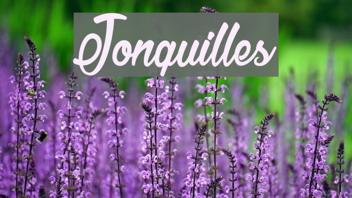 Jonquilles फ़ॉन्ट examples