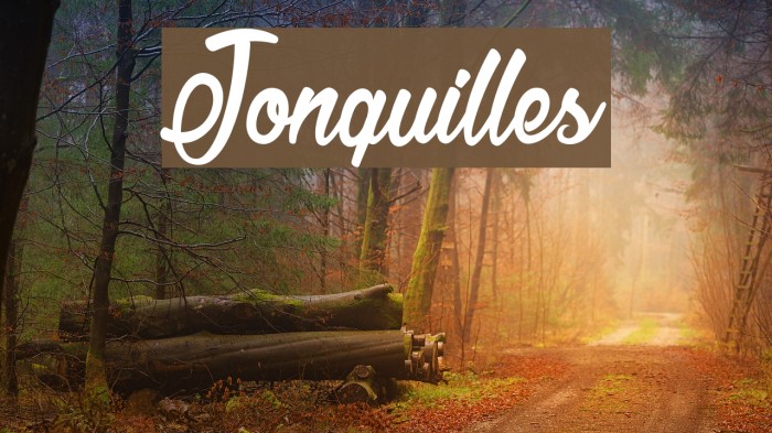 Jonquilles फ़ॉन्ट examples