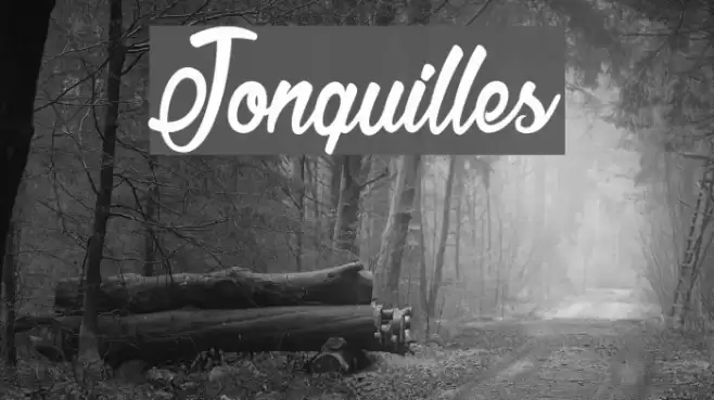 Jonquilles Font examples