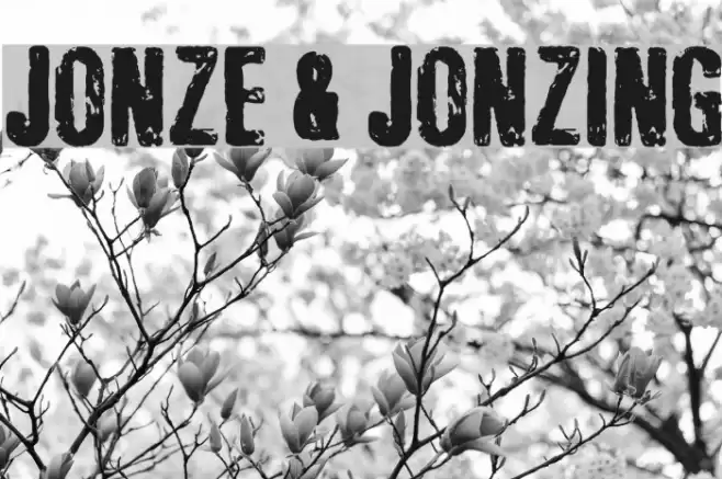Jonze & Jonzing Font examples