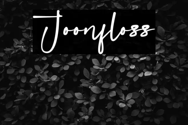 Joonfloss Polices examples