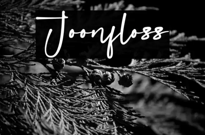 Joonfloss Polices examples