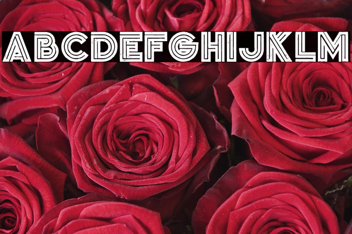 Jordan Bold Grunge Example 2