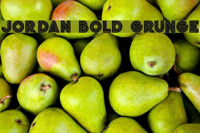 Jordan Bold Grunge Example 3