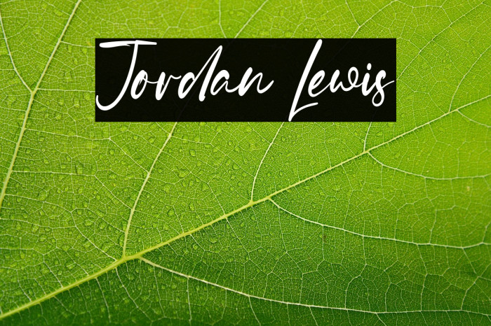 Jordan Lewis Example 1