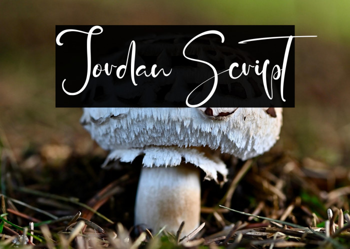 Jordan Script Example 1