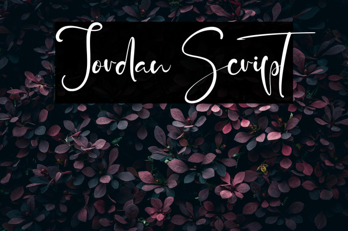 Jordan Script Example 2