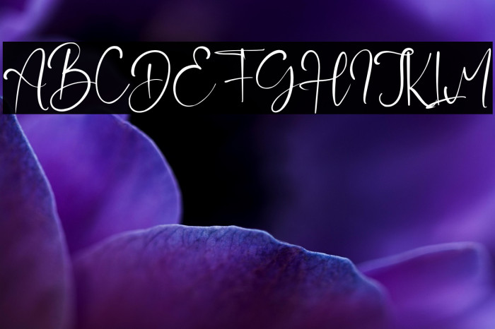 JordanScript Example 2