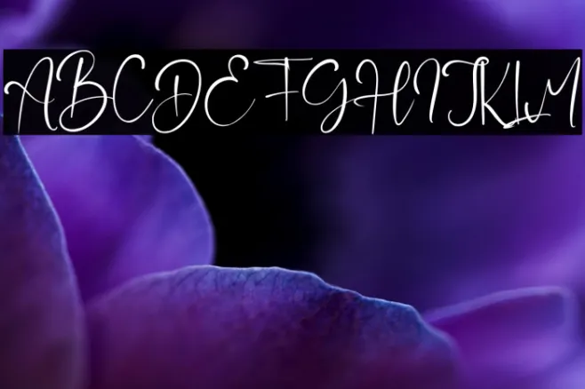 JordanScript Example 2