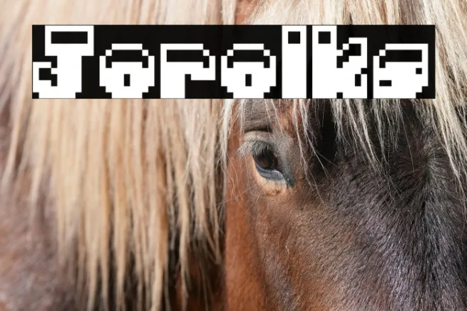 Jorolks Example 2