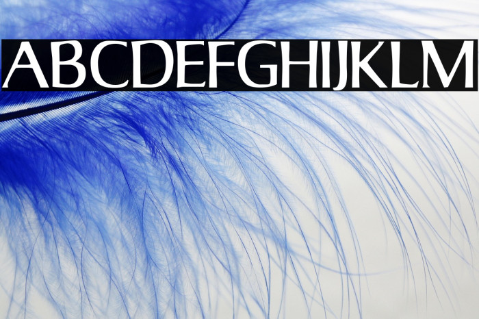 Jorvik Informal Example 3