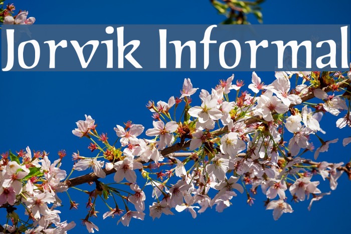 Jorvik Informal Font examples