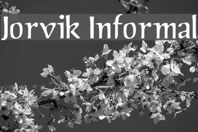 Jorvik Informal Font examples