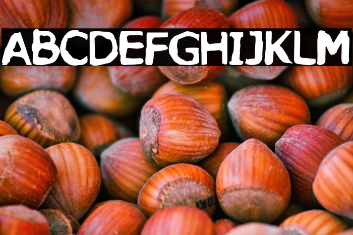 José Luis López Vázquez Example 1