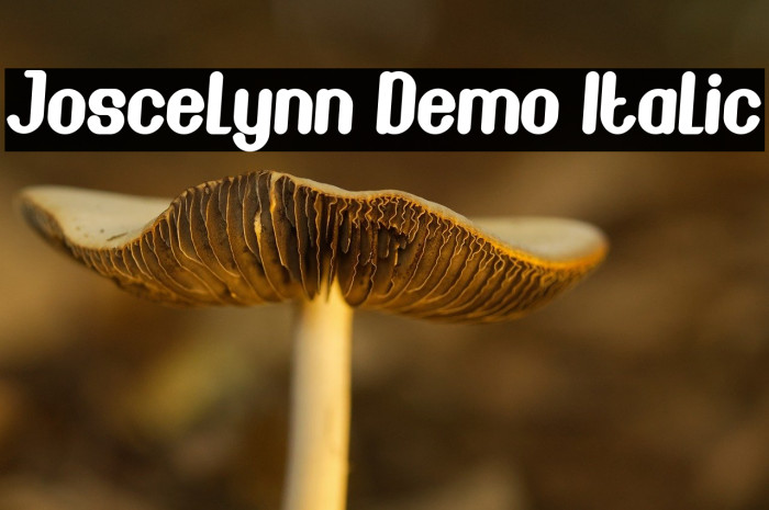 Joscelynn Demo Italic Example 1