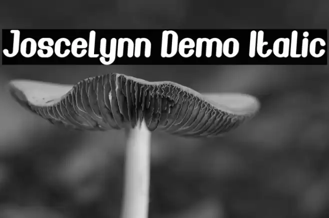 Joscelynn Demo Italic Font examples