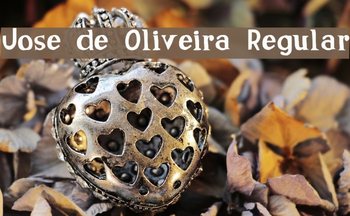 Jose de Oliveira Regular Example 2