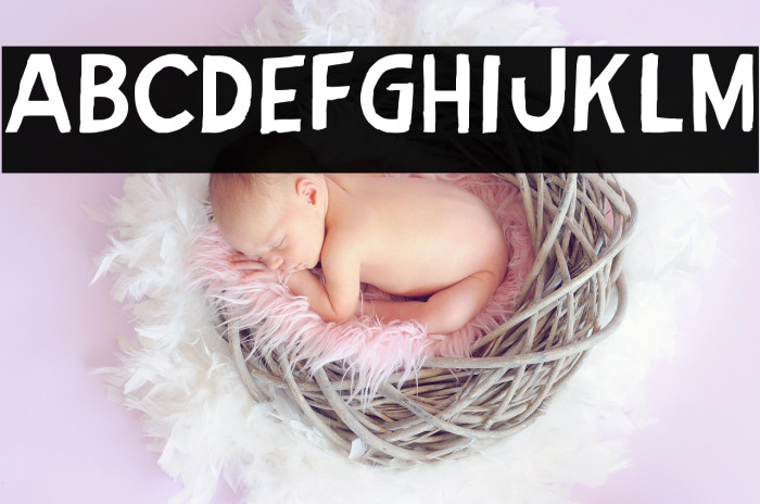 Jose de Oliveira Example 2