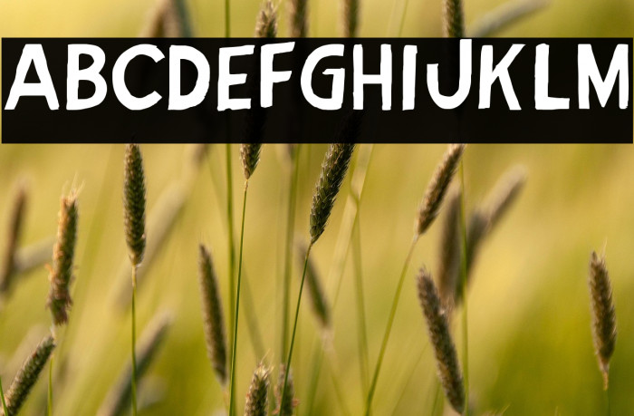 Jose de Oliveira Example 3